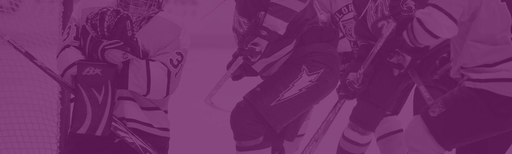 Skrill vedonlyonti ja skrill vedonlyontisivustot